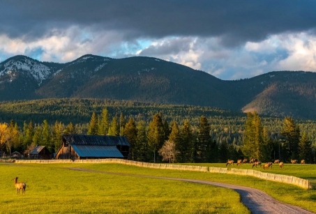 Un Ranch dans le Montana, séjour d’exception