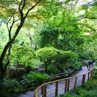 Splendides Jardin Butchard
