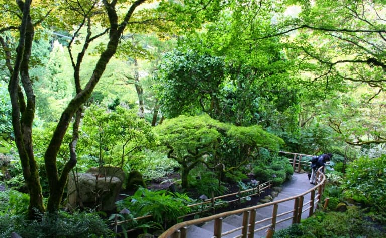 Splendides Jardin Butchard