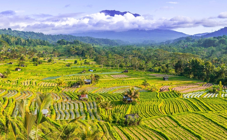 Premiers pas à Bali, au cœur des rizières de Sidemen