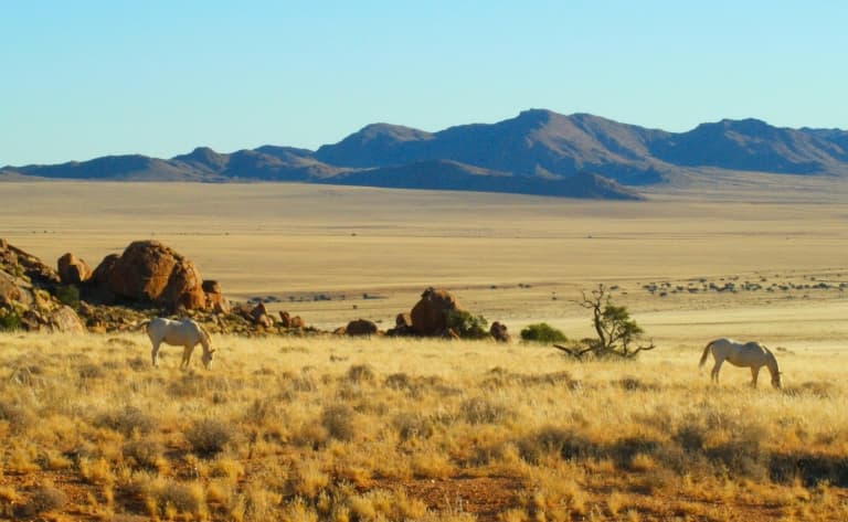 Balade à cheval dans le désert du Namib