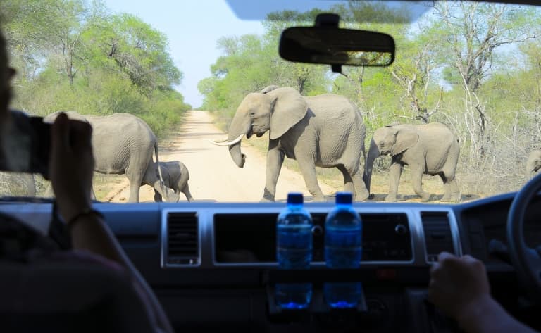 Un safari en 4x4 avec le Likweti Lodge & Sanctuary