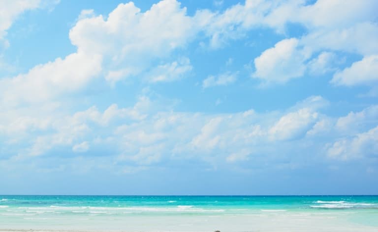 Hotel Playa Larga