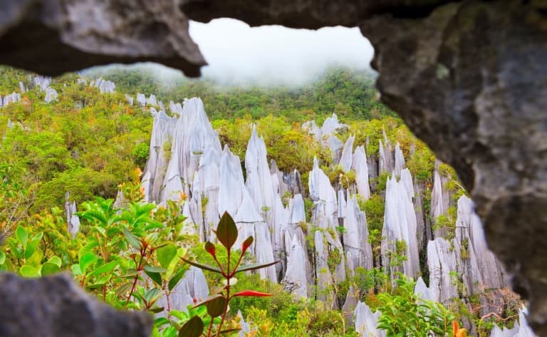 Visite des grottes de Mulu