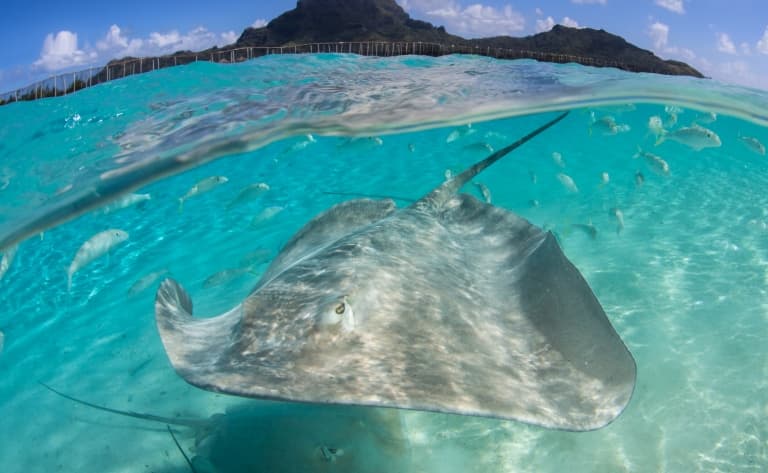 Lagon sublime de Bora Bora