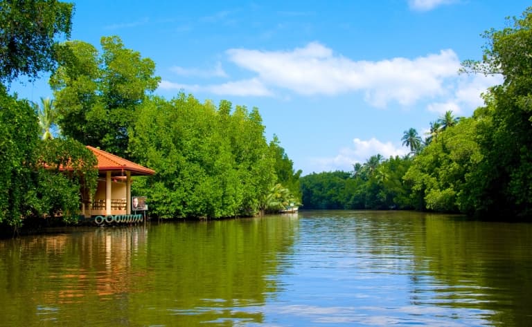 Balade en bateau sur la rivière Madu
