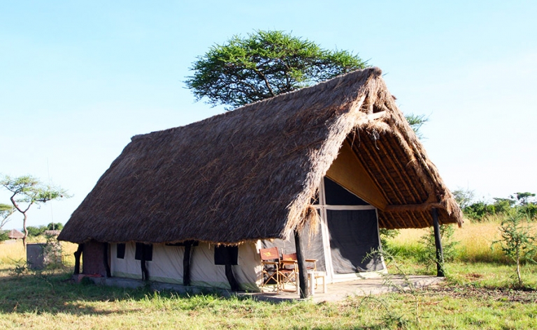 Hotel Serengeti National Park
